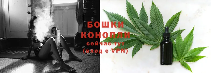 Бошки марихуана Ganja  как найти закладки  даркнет наркотические препараты  Ливны 